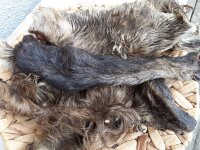 Pferde - Haut mit Fell 200 g