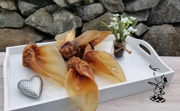 Rinder - Ohren mit Muschel Deutsche Herkunft 1 Stück