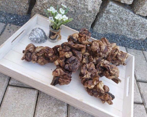 Rinder - Schaschlik 5 Stück