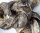 Dorsch - Haut Ring 200 g