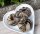 Dorsch - Haut Ring 500 g