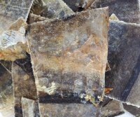 Dorsch - Haut flach 200 g