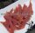 Enten - Brust - Streifen 1000 g