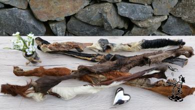 Rinder - Kopfhaut Stange mit Fell 1 Stück