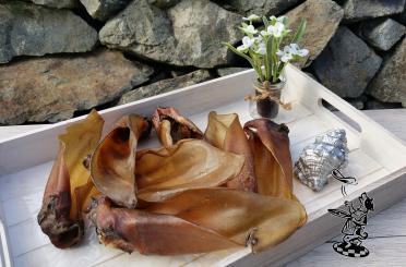 Rinder - Ohren mit kleiner Muschel 25 Stück